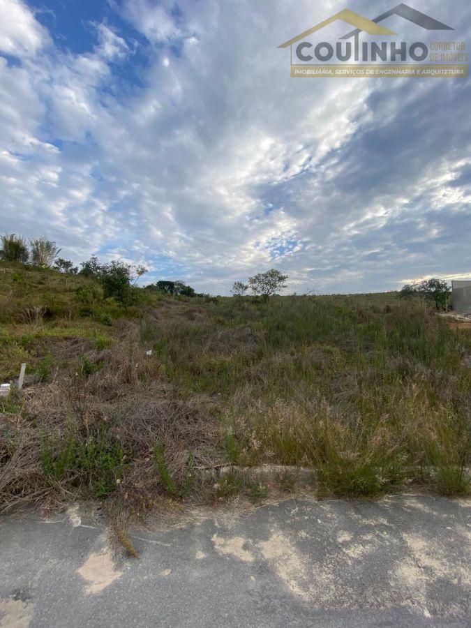 WhatsApp Image 2025-10-29 at 14.17.27.jpeg